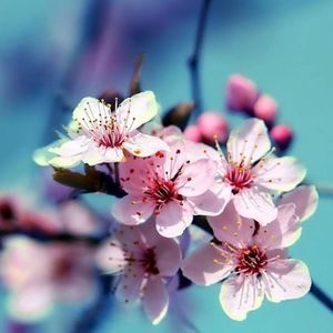 Meet your Posher, Mallory